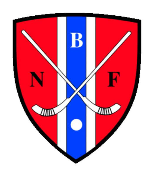 Norges Bandyforbund